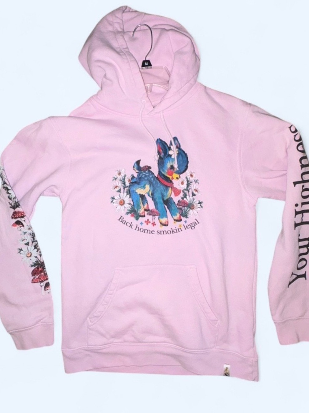 Your Highness Pink Graphic Hoodie 🍄🩷 Fairy Grunge / Cottagecore- Medium